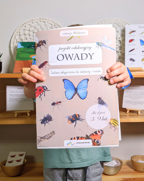 Owady. Zestaw aktywności do zabawy i nauki (e-book)