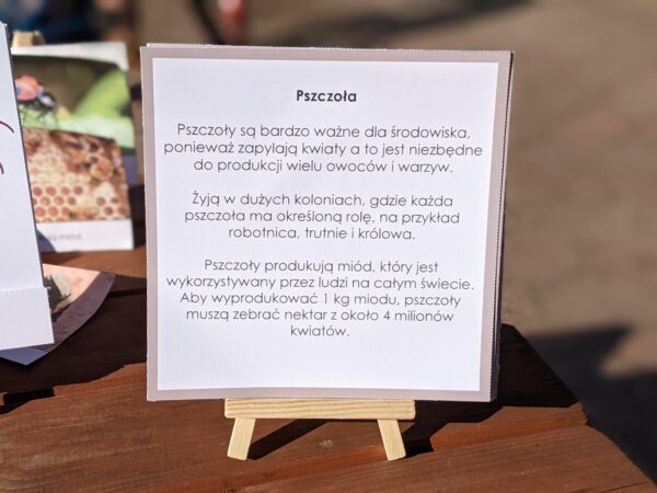 Owady. Zestaw aktywności do zabawy i nauki (e-book) - obrazek 10