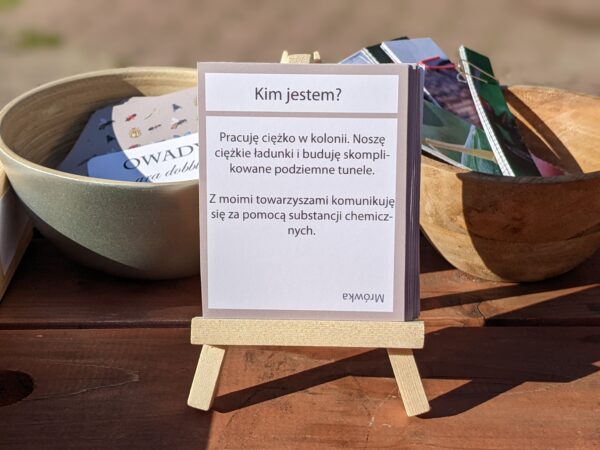 Owady. Zestaw aktywności do zabawy i nauki (e-book) - obrazek 8