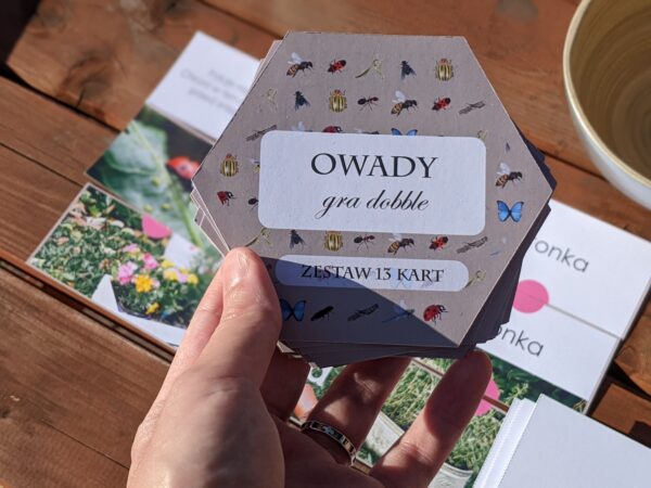 Owady. Zestaw aktywności do zabawy i nauki (e-book) - obrazek 3