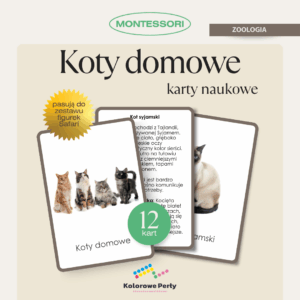 Koty domowe - karty naukowe Montessori