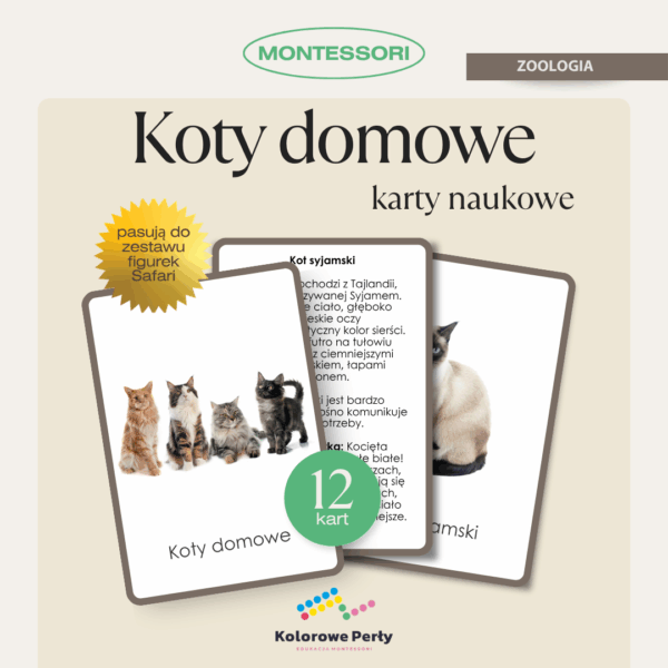 Koty domowe - karty naukowe Montessori