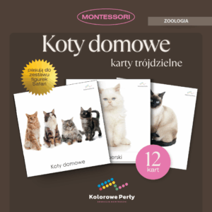 Koty domowe - karty trójdzielne Montessori