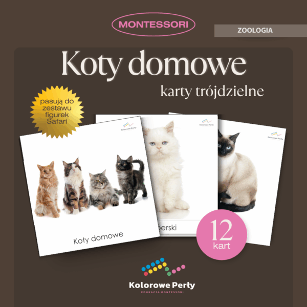 Koty domowe - karty trójdzielne Montessori
