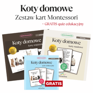 PAKIET Koty domowe: Karty naukowe + trójdzielne + quiz
